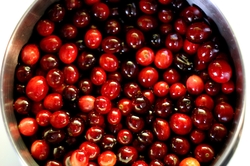 Frische Crannberries vor der Verarbeitung zu Cranberry Kapseln